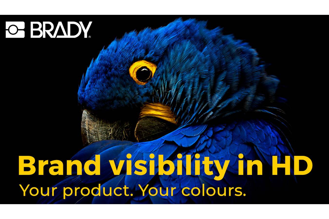 Brand visibility in HD: Your product. Your colours. Position your product exactly as envisioned - in sharp, high definition and lively colours that highlight your brand. Attract and inform your customers with a majestic label that values your brand, your product and your customer.