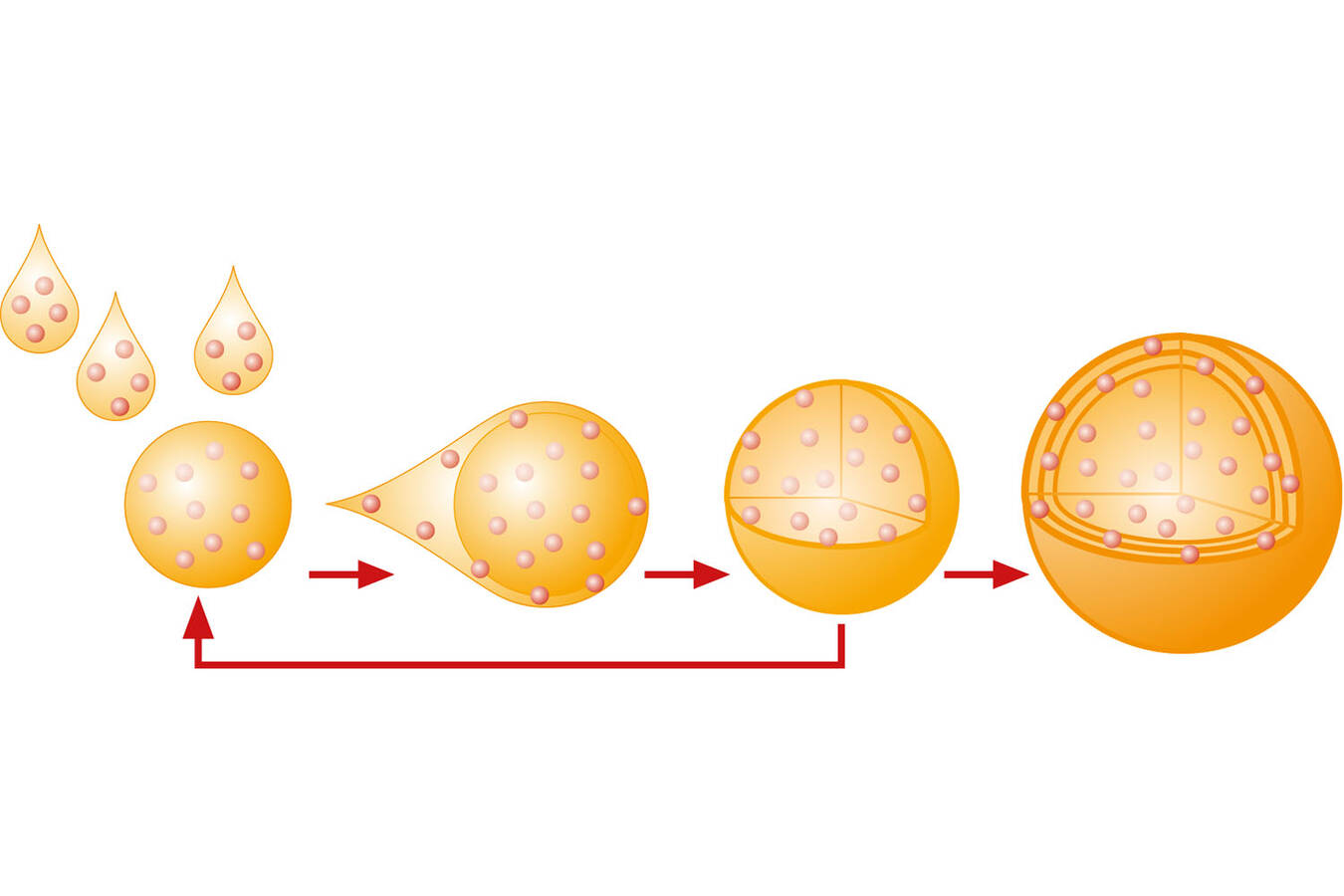 Die Mikroverkapselung durch Sprühgranulation in schematischer Darstellung