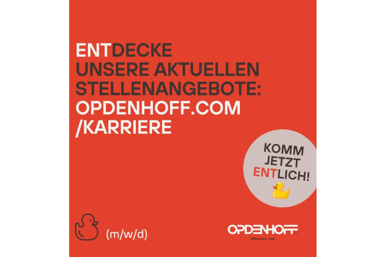 Opdenhoff Technologie sucht Mitarbeiter  Werde ein Teil unseres Teams. Wir machen Fördern, Wiegen, Mischen, Dosieren und Abfüllen von Flüssigen- und festen Rohstoffen noch smarter. 