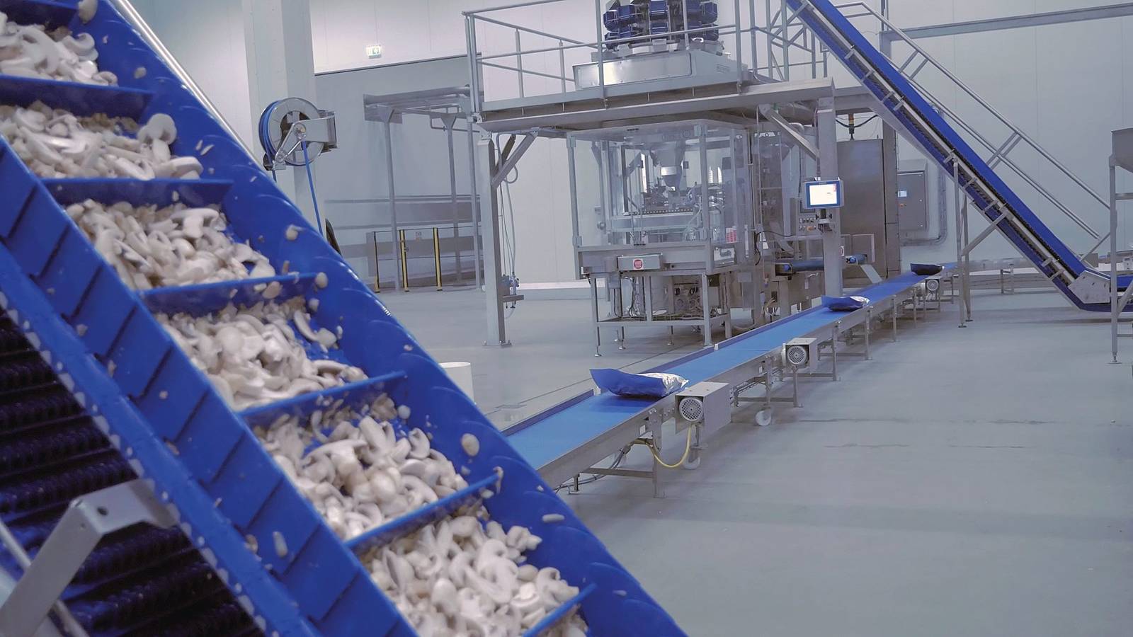 Edelstahl-Förderbänder von Dorner Modulare Produktionsstraße in der Lebensmittelverarbeitung: